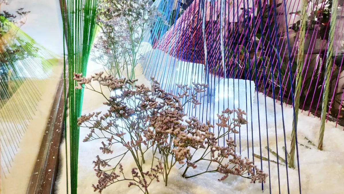 La instalación de hilos de colores vista desde el interior de la floristería