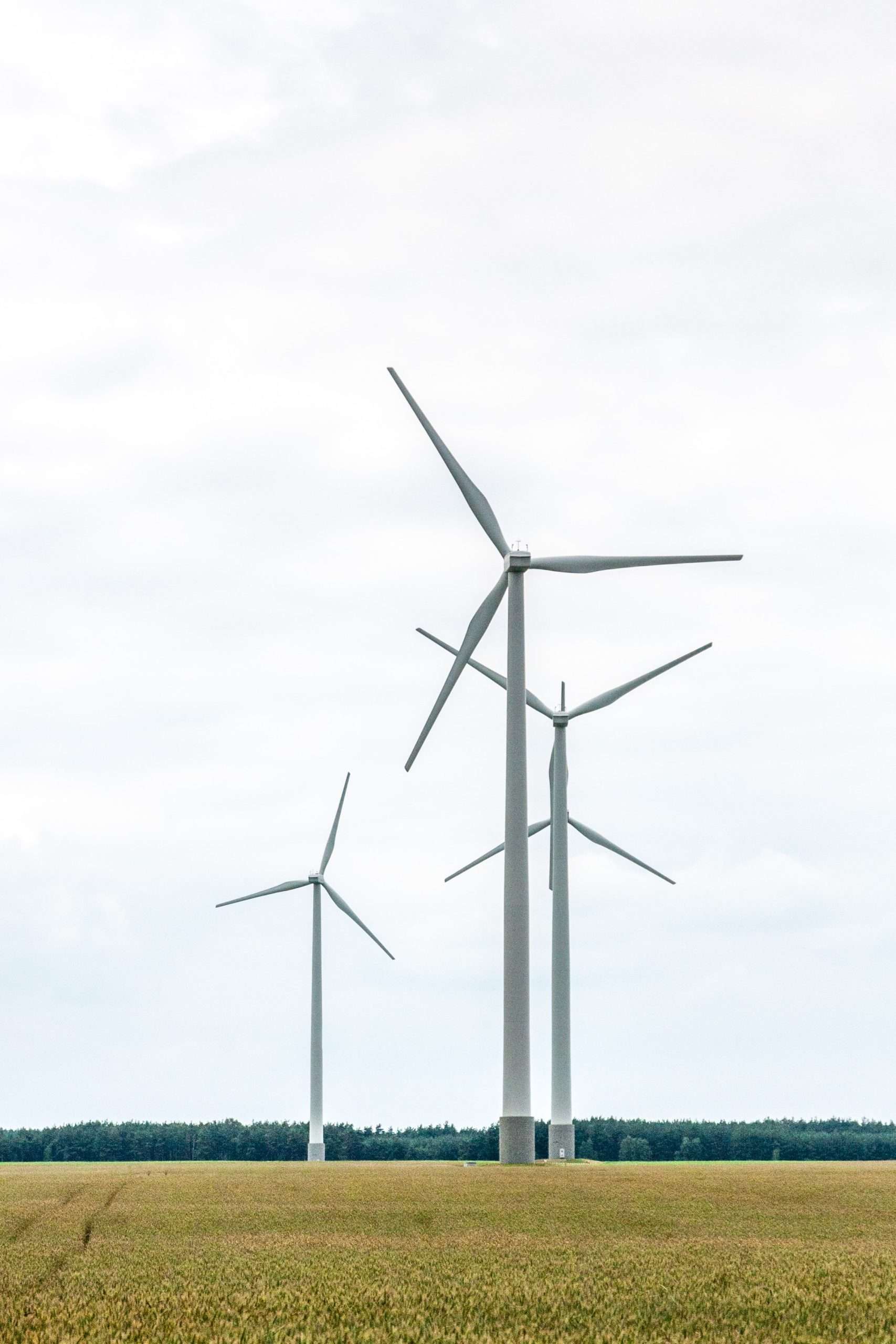 white wind turbines under white sky during daytime